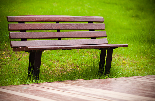 Photo of a wooden bench in the park against the background of trees. Urban landscape, without people. On a sunny summer day.