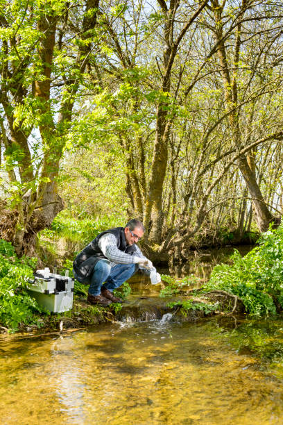 View of a Biologist take a sample in a river. stock photo