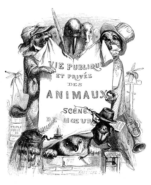 Humanized animals illustrations: Banner Humanized animals illustrations: Banner mosquito drawing stock illustrations