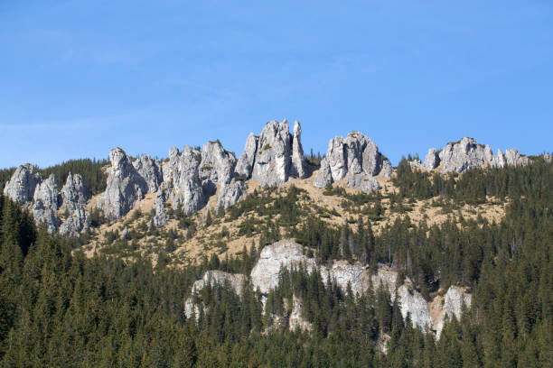 istock Crags (Mnichy Chocholowskie) in Chocholowska Valley. Tatra. Poland 656302092
