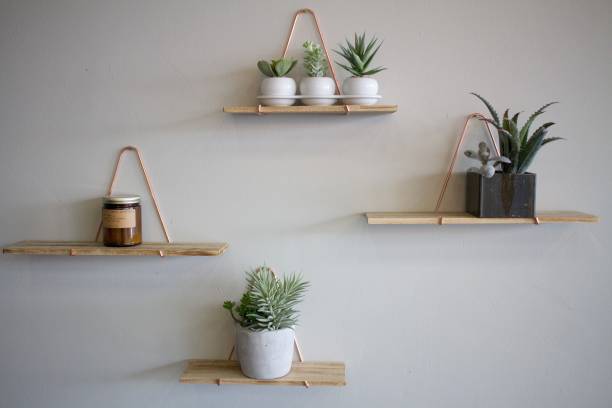 istock Plants on Wooden Shelves on White Wall 656305238