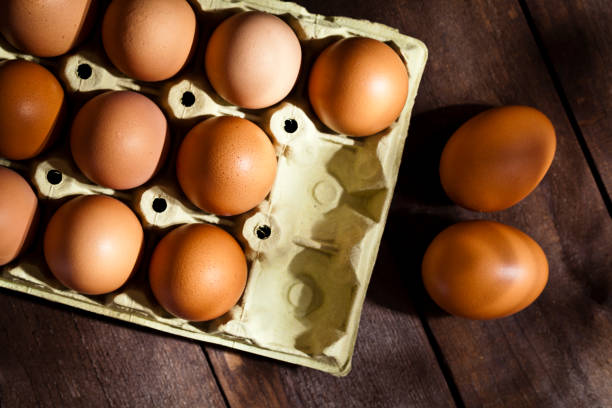 упаковка картонных яиц - dozen eggs food eggs horizontal стоковые фото и изображения