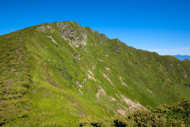 istock The ridge covered with green grass against the blue sky 656318604