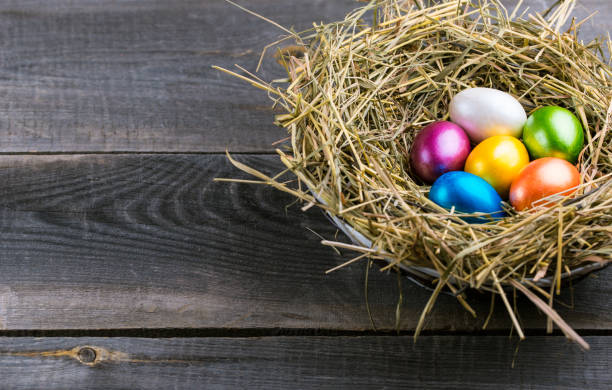 istock Easter eggs in the nest on rustic wooden background 656318980