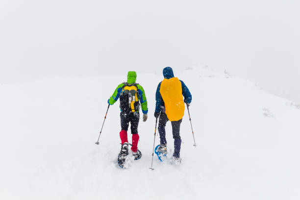 istock Hikers trekking on snowy plateau 656319860