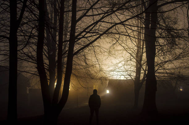 istock strange silhouette in a dark spooky forest at night, mystical landscape surreal lights with creepy man 656325556