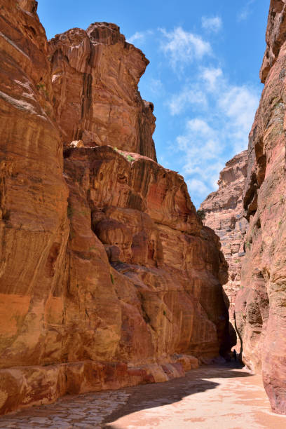 istock Siq gorge in Petra, Jordan 656328622