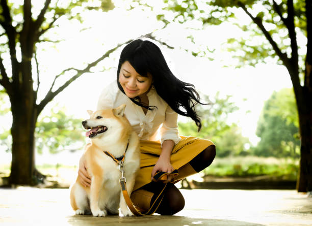 istock Young Woman Crouching to Pet a Dog 656339278