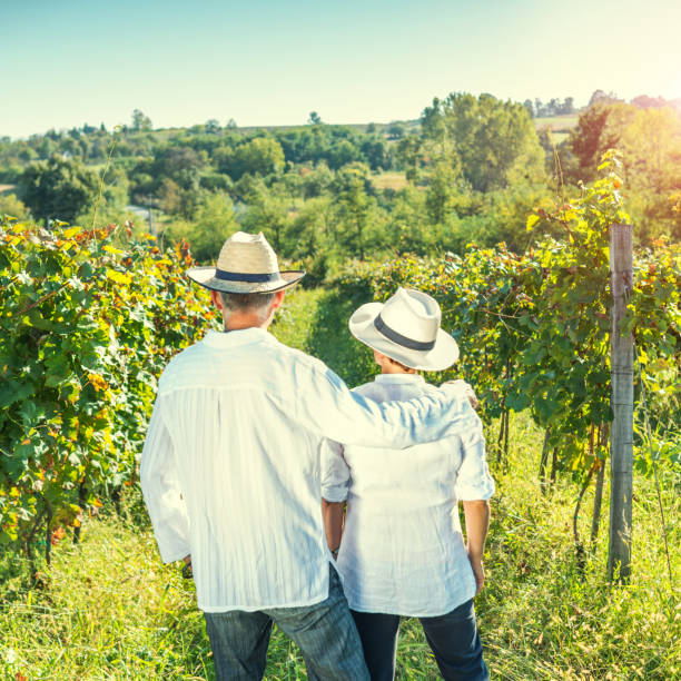 istock Couple in between rows of vines 656349908