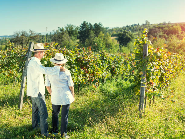 istock Couple in between rows of vines 656353718