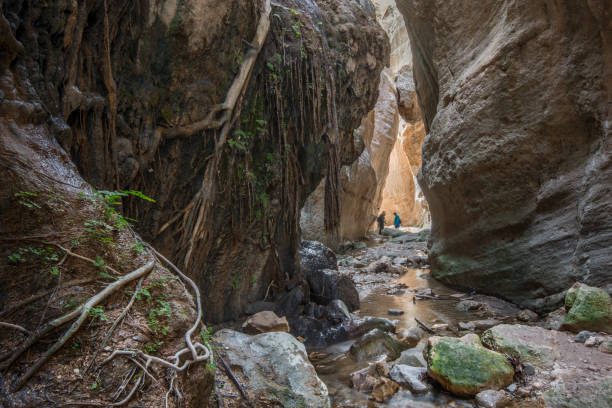 único avakas cañón _ chipre - akamas fotografías e imágenes de stock