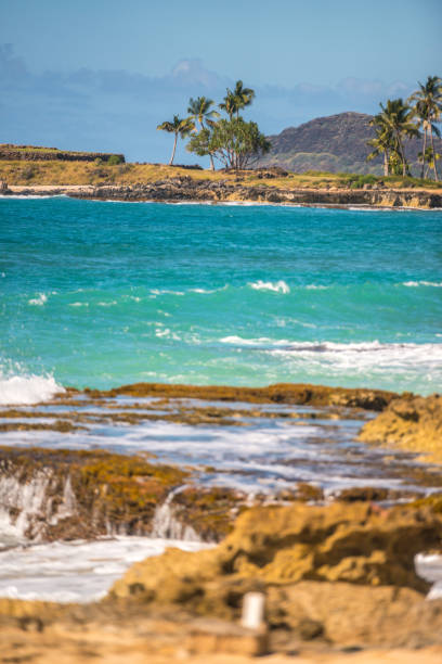 Oahu west coast beach and waves, Hawaii, USA