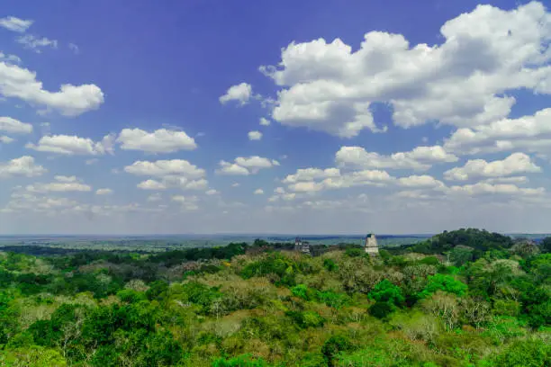 Photo of panoram of Maya pyramid in the rain forest of Tikal in Guatemala