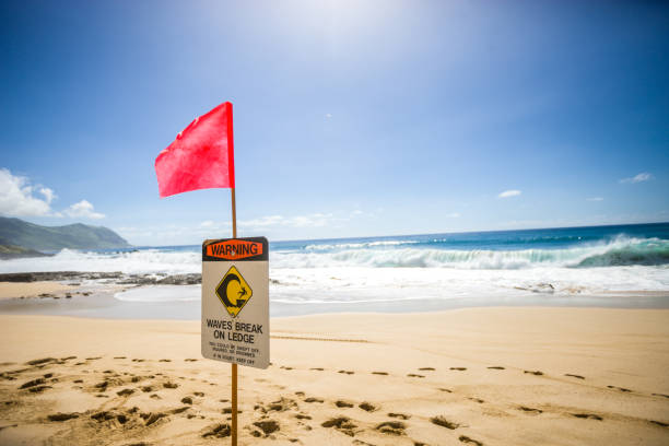 istock Warning sign on Hawaiian beach, Oahu, USA 656370906