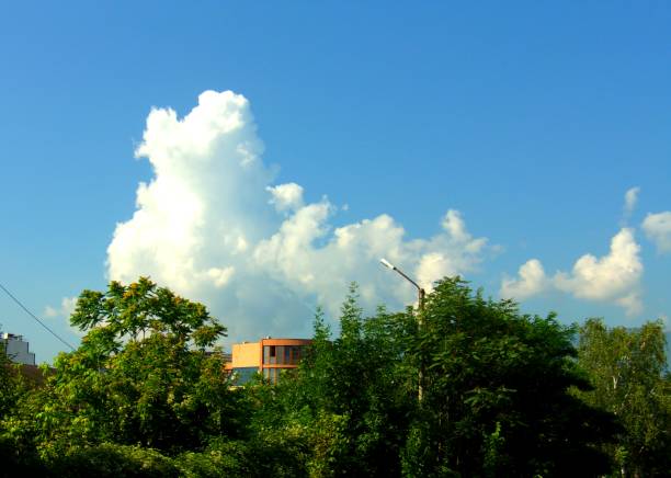 Vibrant blue sky with fluffy clouds,over a residential building hidden in a public park forest