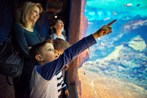 Family in a huge aquarium looking at fish.