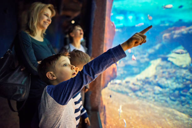 мать с детьми, посещающими огромный аквариум - candid underwater animal aquarium стоковые фото и изображения