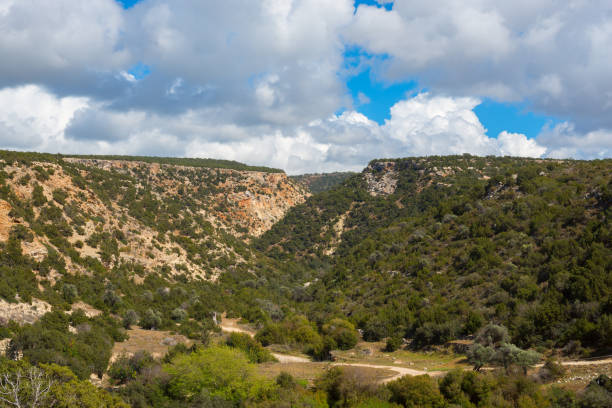 istock Green hills of Cyprus in spring 656382696
