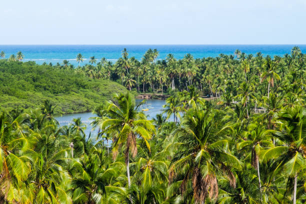 istock Sao Miguel dos Milagres - Alagoas, Brazil 656391372