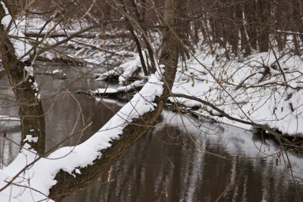 istock The little river in the snow in winter. 656394946