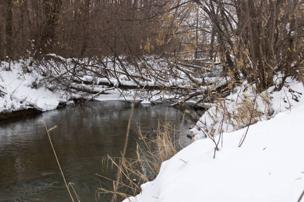 istock The little river in the snow in winter. 656394984