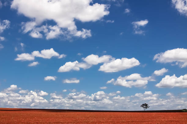 istock Australian countryside landscape with open sky 656395286