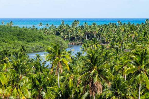 istock Sao Miguel dos Milagres - Alagoas, Brazil 656395328
