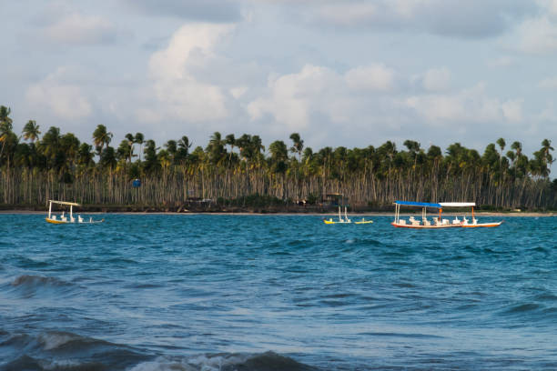 istock Sao Miguel dos Milagres - Alagoas, Brazil 656398564