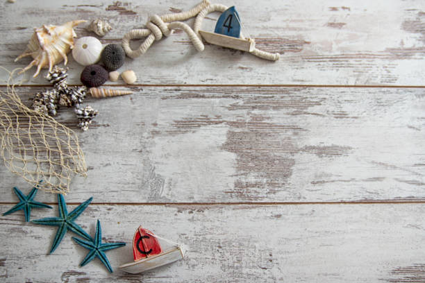 istock Shells on vintage shabby wood 656405462