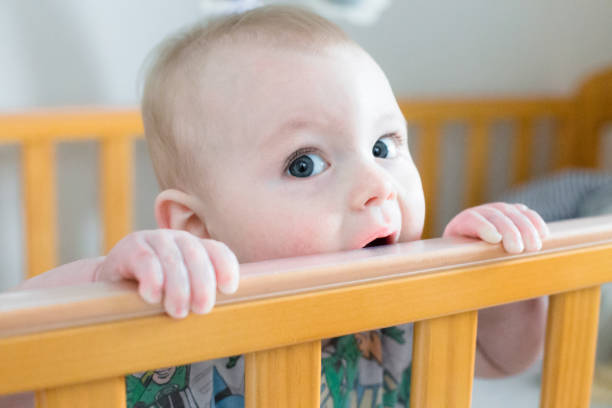 istock Baby boy chewing in his Crib 656407886