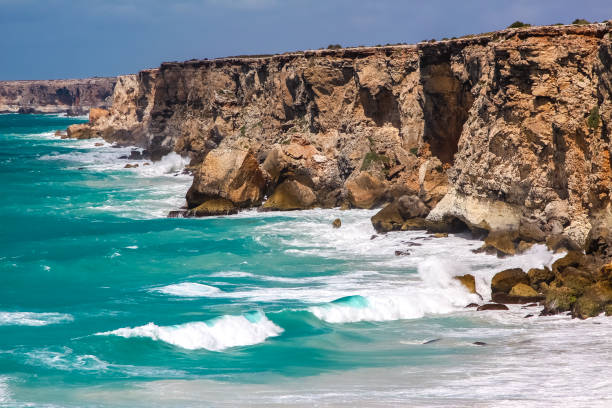istock Scenic cliffs of Head of bight, Nullarbor 656414880