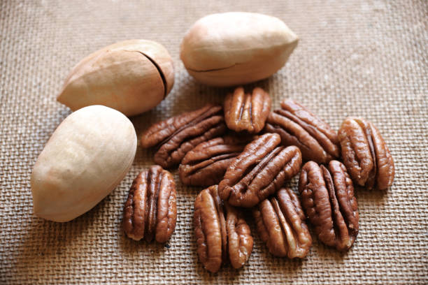 피칸 - pecan nut isolated protein 뉴스 사진 이미지