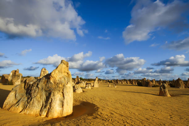 istock Rock formations The Pinnacles in late afternoon light, Nambung National Park 656417938