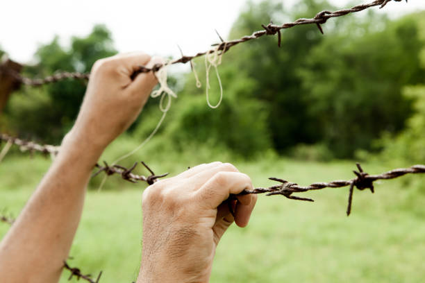 istock a man's hand seized barbed wire tightly.escape for freedom 656425108