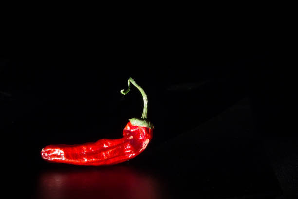 Red Chili in front of dark background stock photo