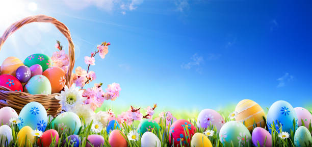 istock Easter Eggs In Basket And In A Row On Meadow 656431138