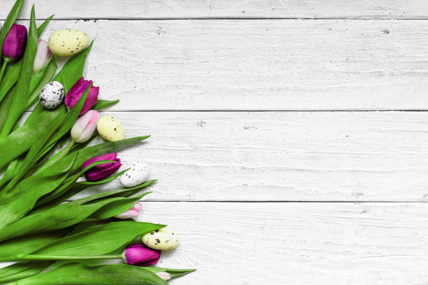istock Easter background with eggs and purple tulips 656432302