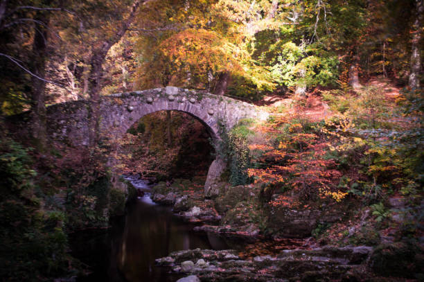 istock Ancient footbridge in an Autumn landscape 656437860
