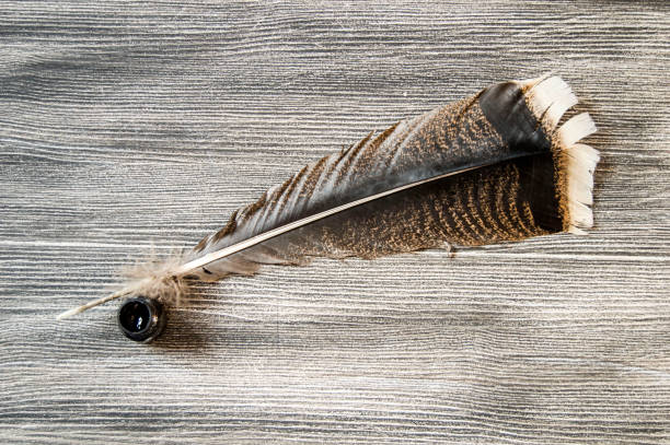 istock the nostalgic bird feather pen and paper 656441478
