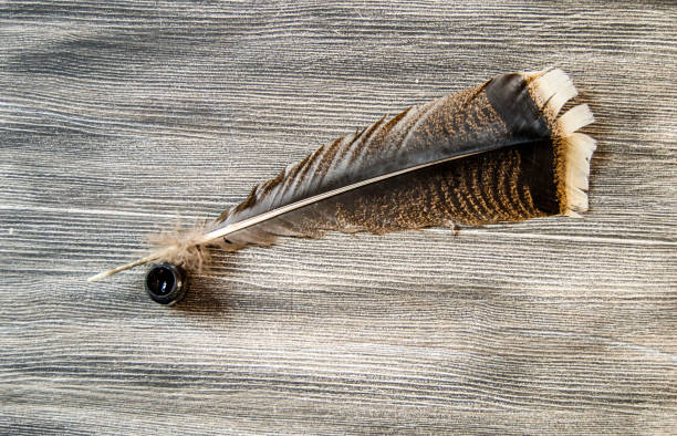 istock the nostalgic bird feather pen and paper 656441916
