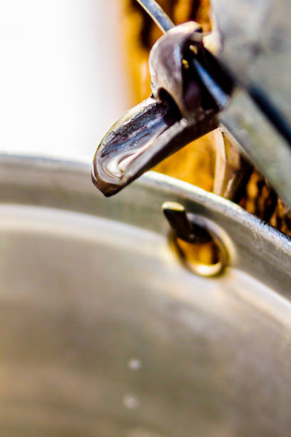 istock Maple sap, boiler, torch, woodlot, 656448870