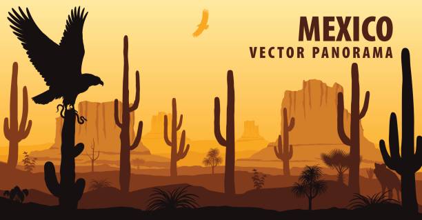 ilustrações, clipart, desenhos animados e ícones de panorama do vetor do méxico com a águia no deserto - sonoran desert illustrations