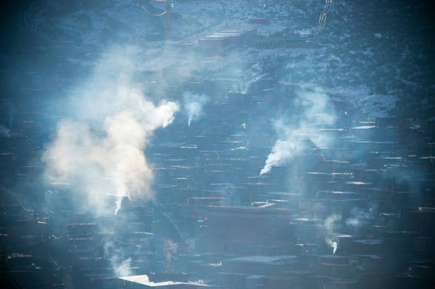 Rural scenery,Yarlung Zangbo River,Parlung Zangbo,Yigong Zangbu,Yigong River,Xizang,China,Asia.Tibet.