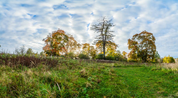 Public Park In Cheltenham, United Kingdom
