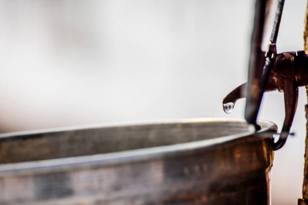 istock Maple sap, boiler, torch, woodlot, 656459292