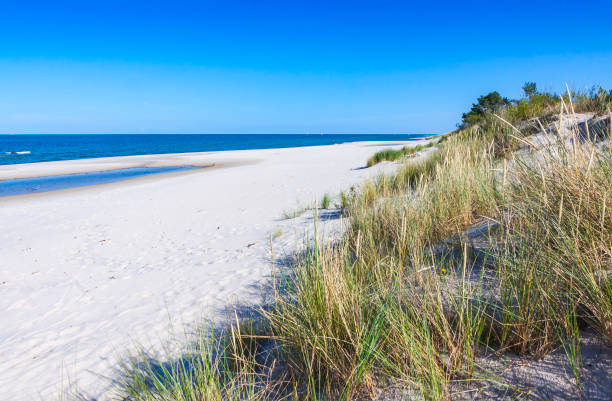 istock Sandy beach on Hel Peninsula, Poland 656466854