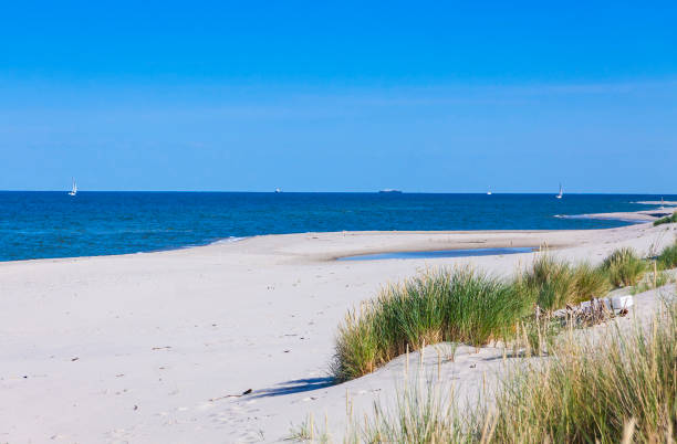 istock Sandy beach on Hel Peninsula, Poland 656466856