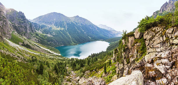 모르스키 이내 호수, 높은 tatras 산맥, 폴란드 - european alps carpathian mountain range evergreen tree tree 뉴스 사진 이미지