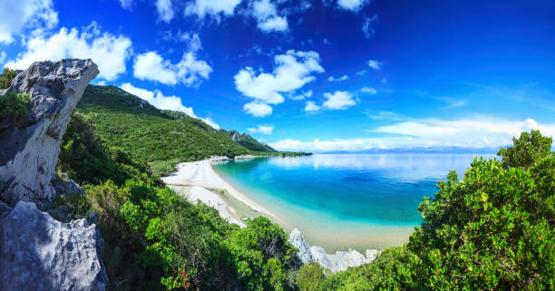 strand, kristallklares wasser im adriatischen meer und den grünen bergen - europe pine tree sea adriatic sea stock-fotos und bilder