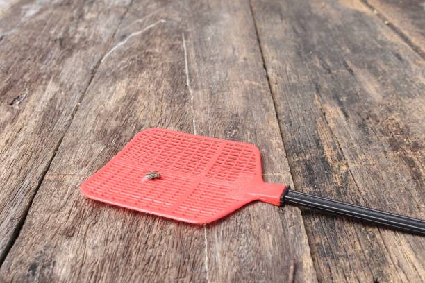 Red fly swatter. Single flyswatter made of plastic and unfailing Red fly swatter. Single flyswatter made of plastic and unfailing in catching flies on Wooden floor background horse fly photos stock pictures, royalty-free photos & images